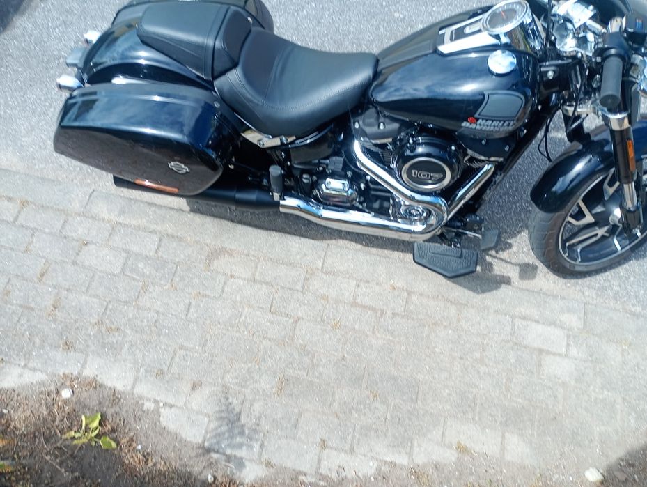 Harley Davidson softail