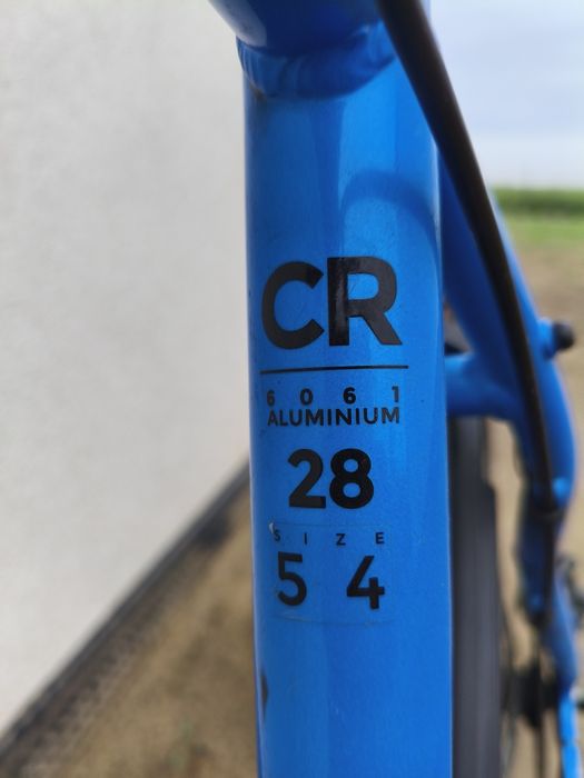 Bulls wild cross 28