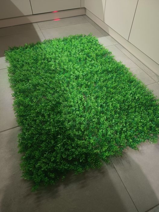 Panel dekoracyjny zielona ściana eukaliptus 40x60 razy 4