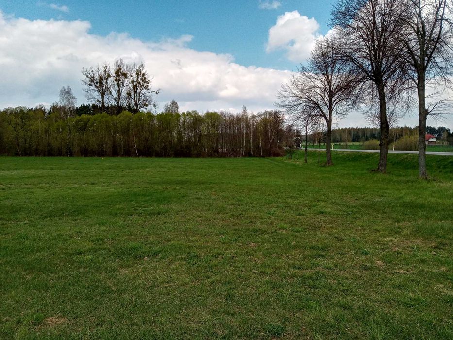 Bezpośrednio-piękna z dużym potencjałem!