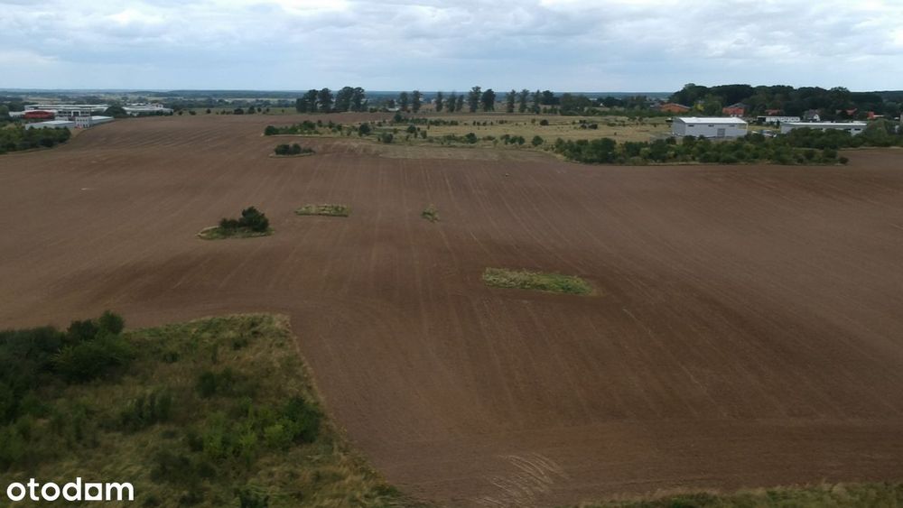 Wydane WZ (hale 3300 m2) + Strefa Gospodarcza w Planie Ogólnym!
