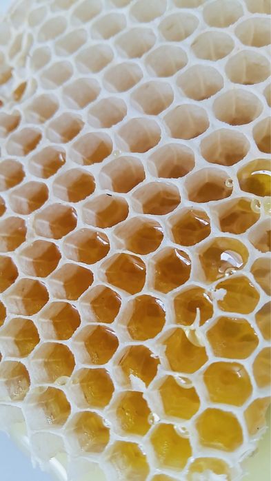 Miod naturalny pszczeli z rodzinnej pasieki słonecznikowy