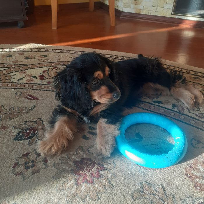 Дівчинка 4 місяці