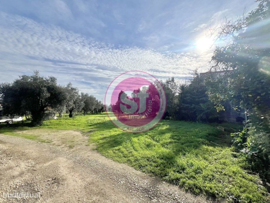 Terreno para Construção — Mealhada, Ventosa Do Bairro E Antes, Aveiro
