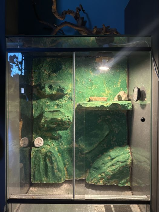 terrarium dla gada gekona jaszczurki 80x60x40 cm
