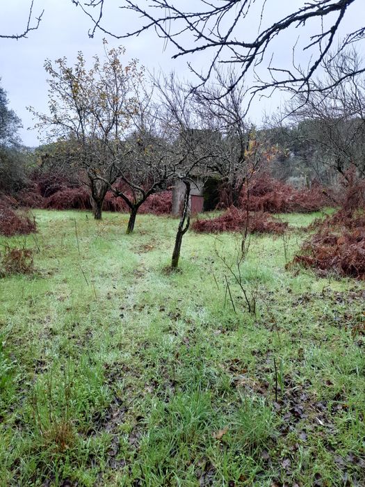 Viseu Casa em terreno rústico vilar seco, nelas. Viseu