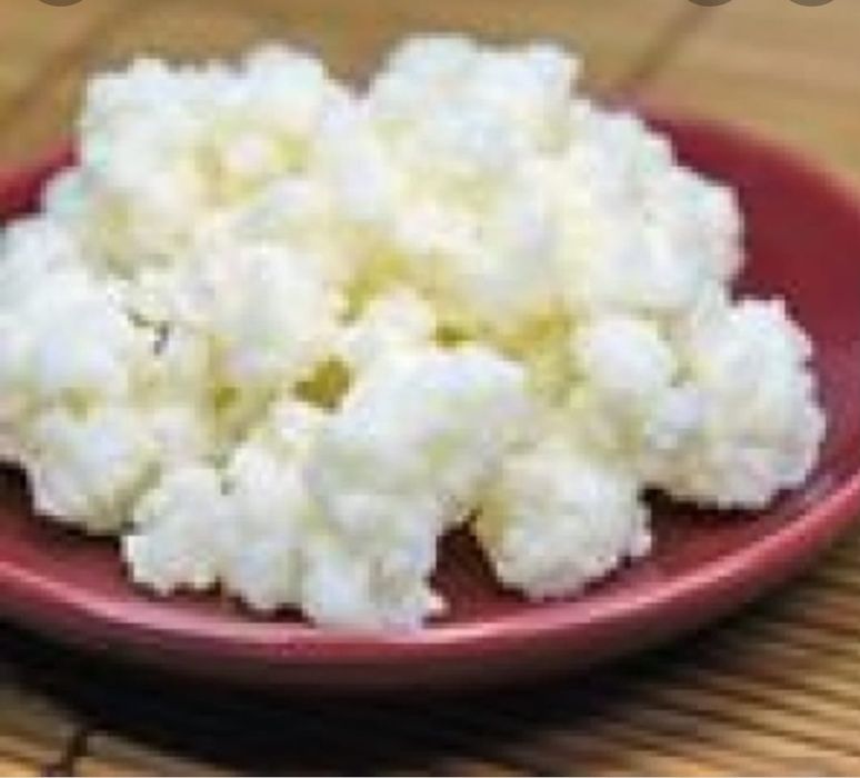 Kerfir de leite, probiótico natural