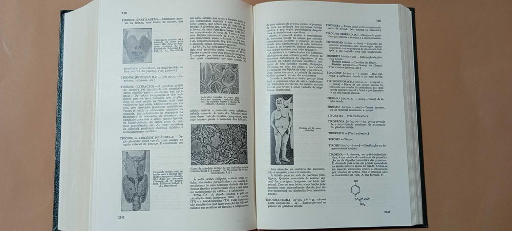 Dicionario Enciclopédico de Medicina