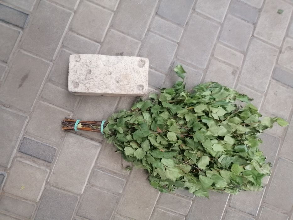 Віники дубові для бані
