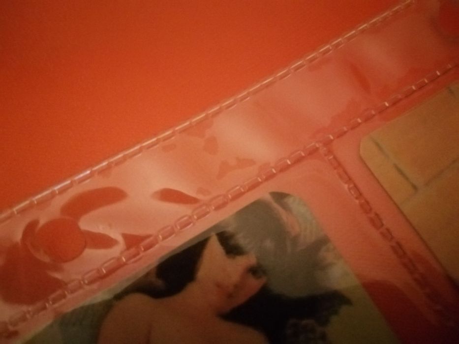 Calendários Eróticos (1984)