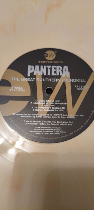 Pantera the great southern trendkill винил.