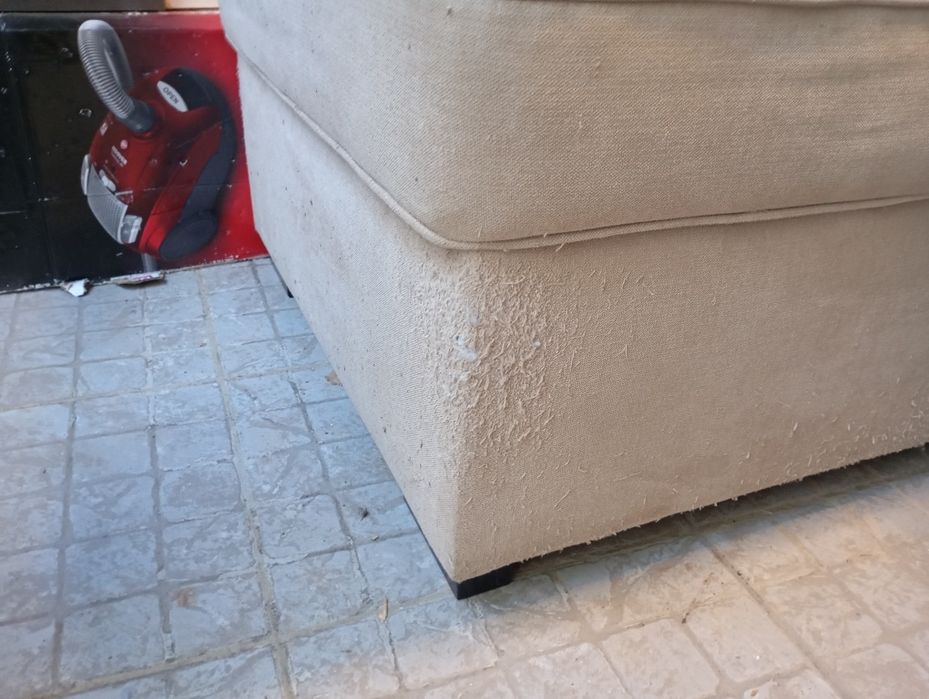 Sofá  com chaise longe, baú e cama.