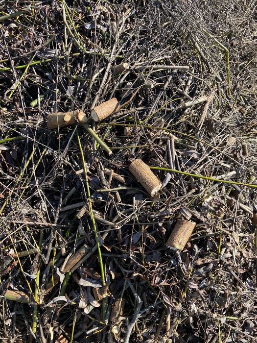 Оренда Подрібнювача Гілок до 80мм