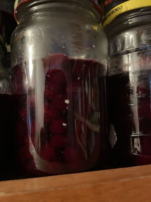 Borówka amerykanska w syropie własnym