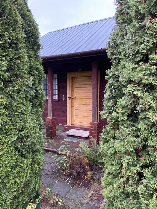 Działka ROD FASTY, Ogródek działkowy sprzedam