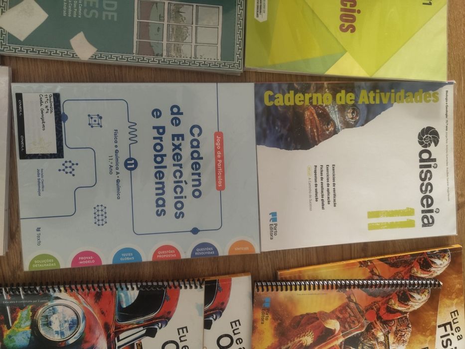 Cadernos de atividades 11º ano (física/química/filosofia/matemática A/