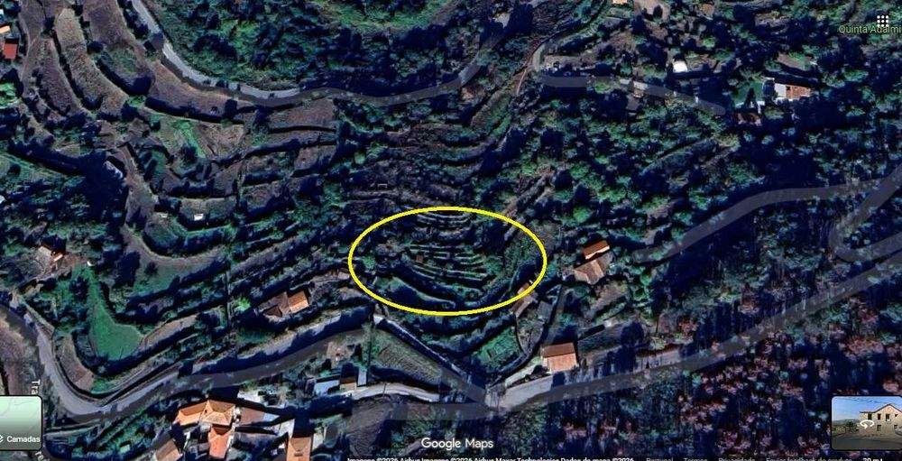 Terreno Agrícola com Vinha e Árvores de Fruto