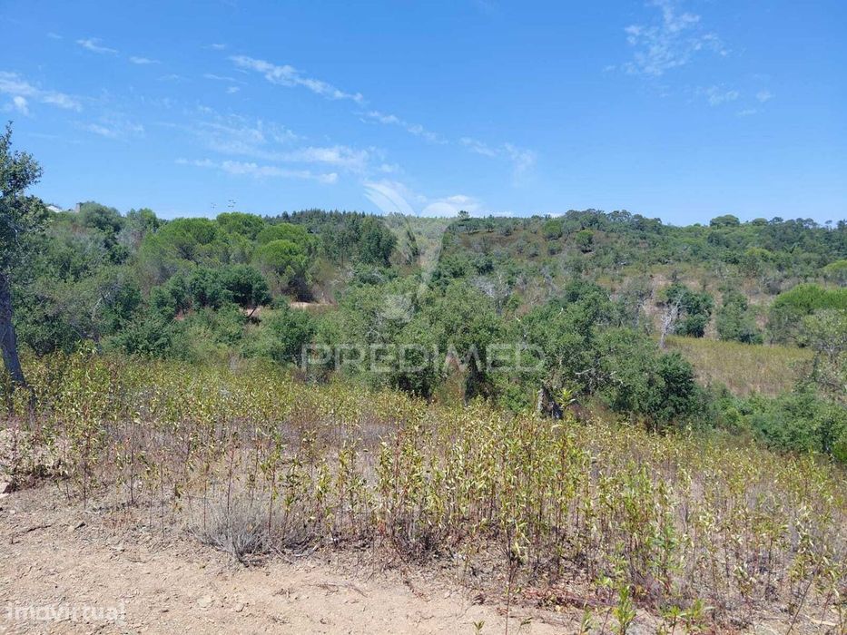 Herdade a 15 minutos da Lagoa de S.André.