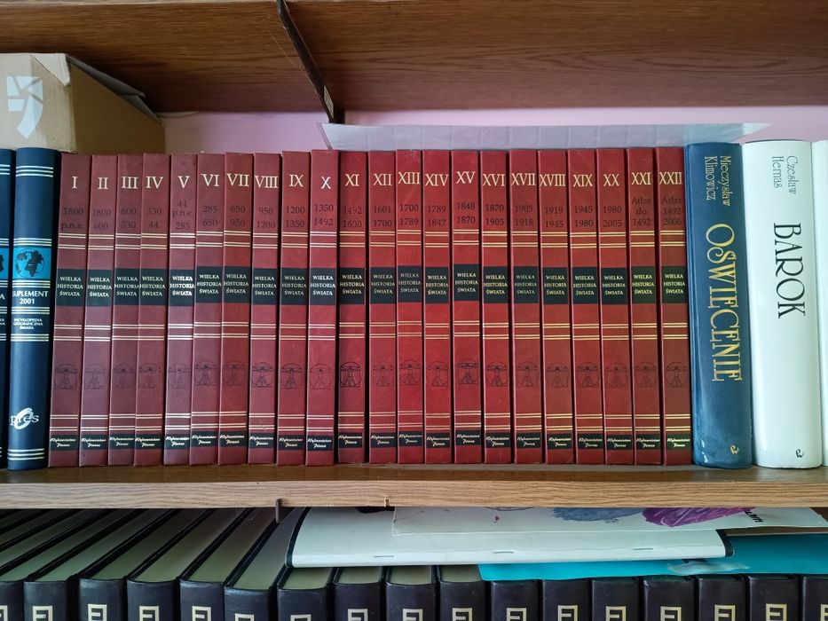 Biblioteczka historyczna-woluminy