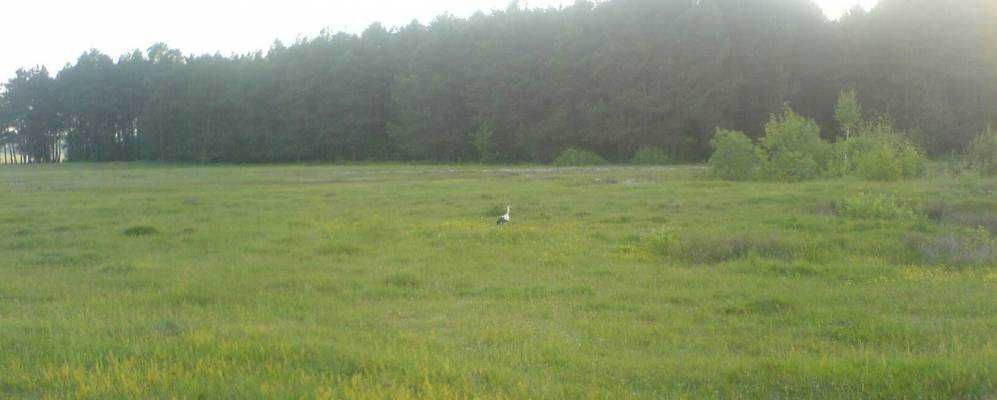 Продам землю з будинком с. Мокрець, Броварський район. Київська обл.