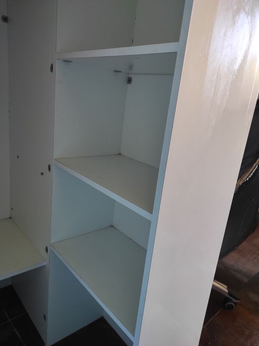 Beliche de criansa, adultshent