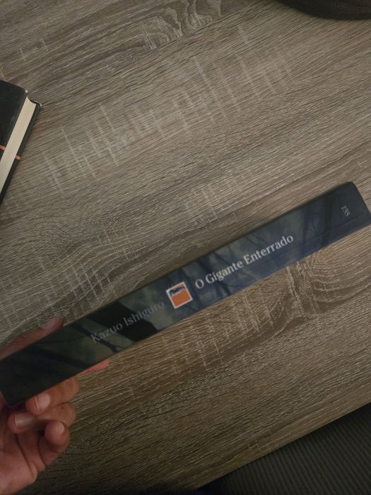 Livros Saramago. JLPeixoto. Kazuo Ishiguru. Annie Eunaux