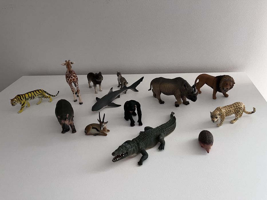 Set of Various Animals64284935935617120