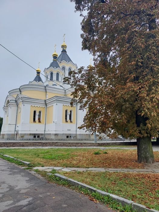 Здається приміщення (2 кімнати) в центрі міста в центрі