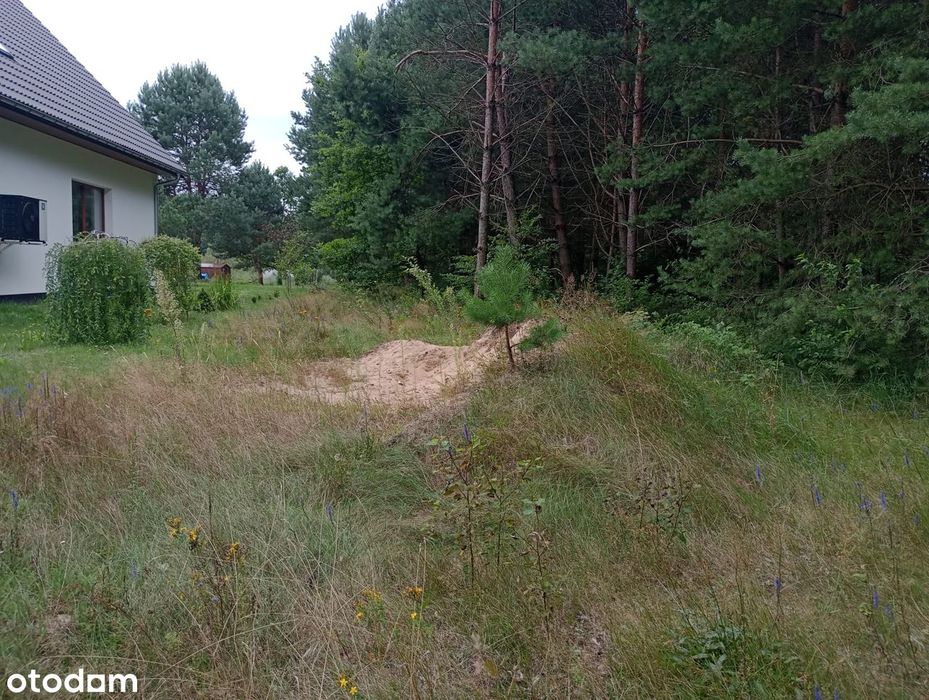 Działka budowlana Samsonów Ciągłe - cisza i natura