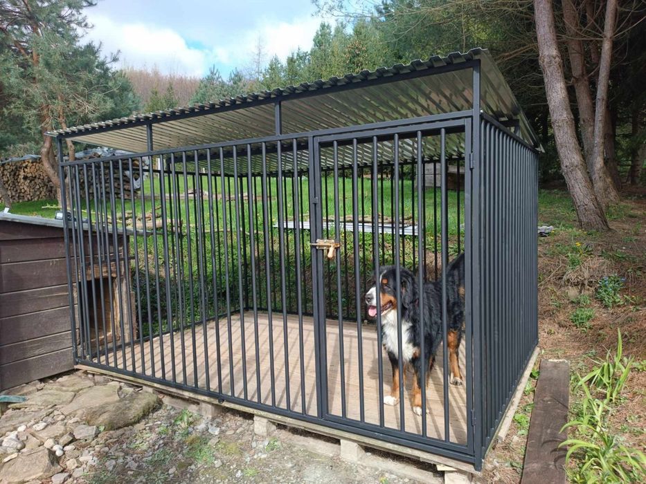 Kojec dla psa 3x2m solidny