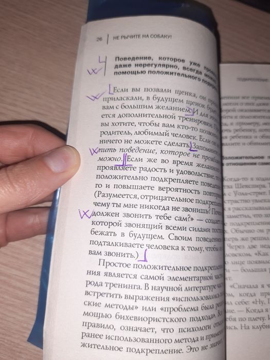 Не рычите на собаку