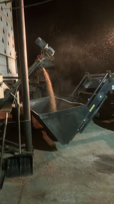 Кукуруза зерно суха