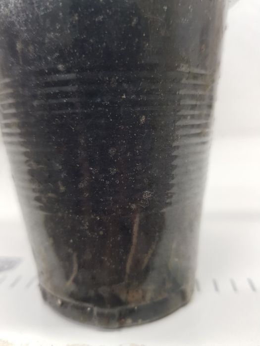 Молочай трехгранный. Доставка по центру города БЕСПЛАТНО  — 50 грн.