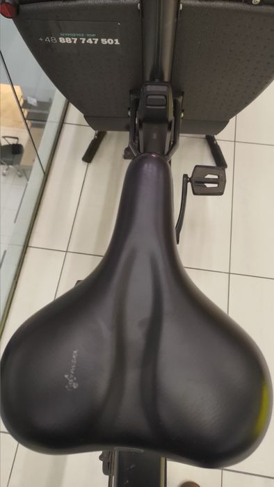 Rower cargo Urban Arrow Family Smart System | pasek Gates