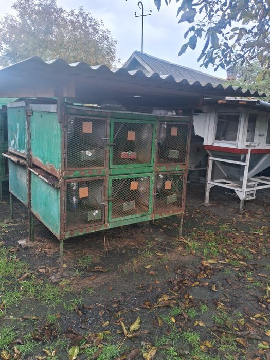 Клітки для кролів