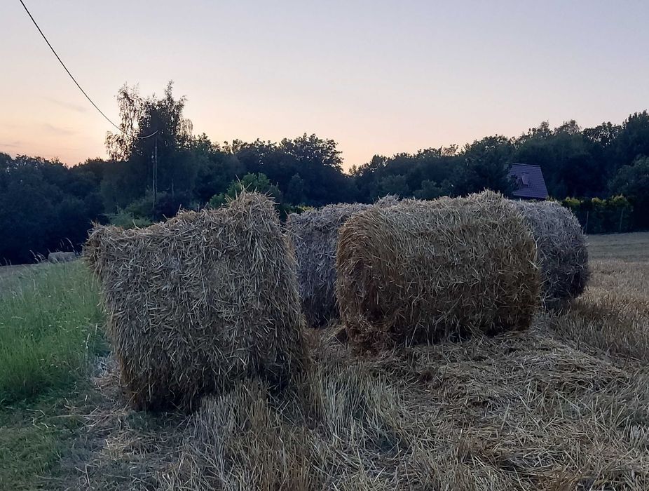 Bale słomy okrągły