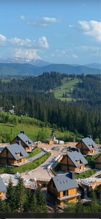 Скогур skogur Віп котедж преміум класу в районі Буковелю