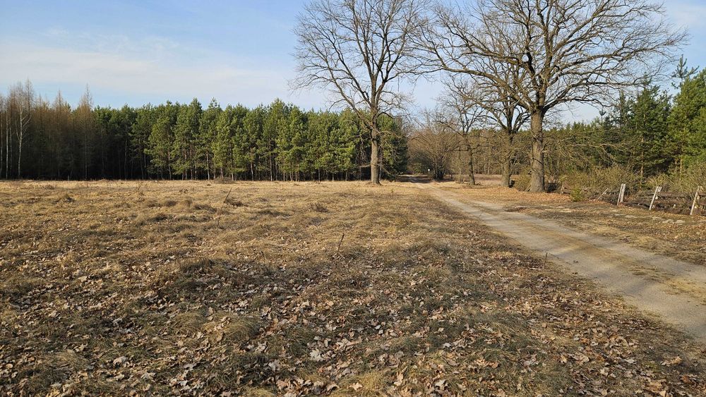 Działki budowlane