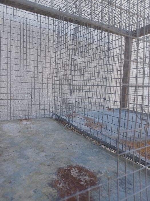 Viveiro Madeira e Rede