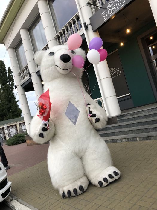 Заказ Белого медведя, шоу ,мишка на праздник поздравление аниматоры,ю