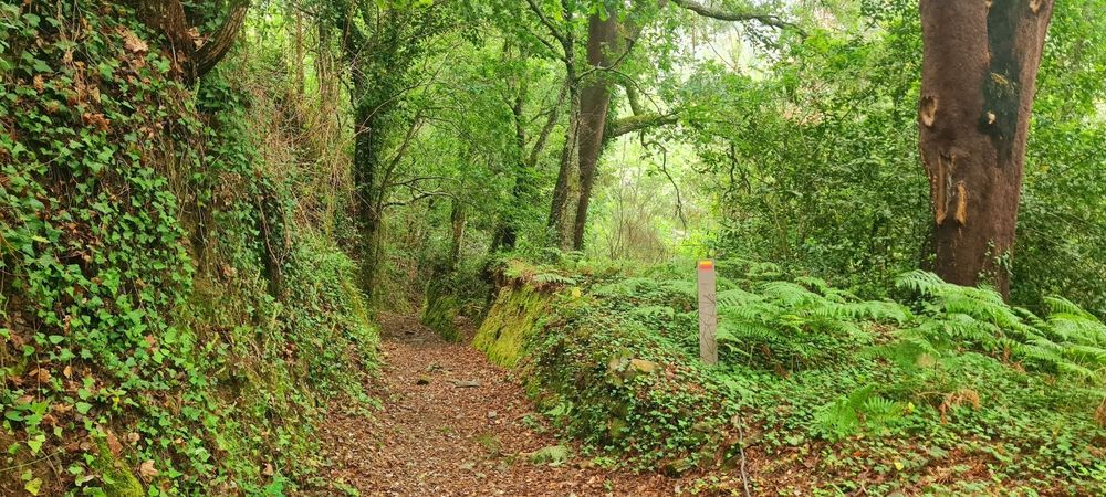2 casas em pedra, xisto e lousa em ambiente natural
