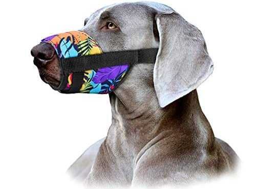 Намордник для собак