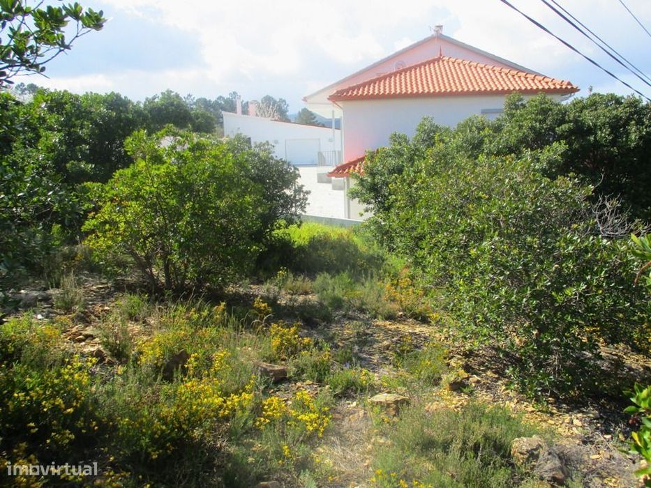 Quinta — Sobreira Formosa E Alvito Da Beira, Castelo Branco