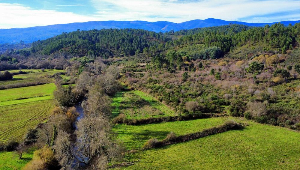Terreno junto a Ribeira com água cristalina