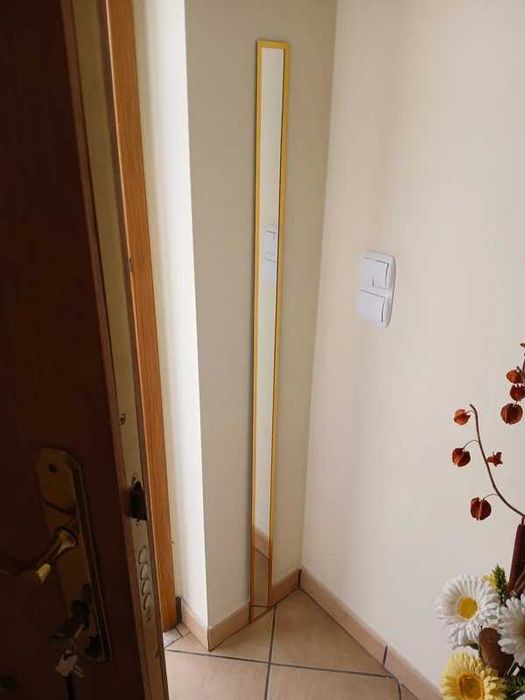 Espelho Comprido Antigo Mirror 145x7cm Moldura Dourada Vintage