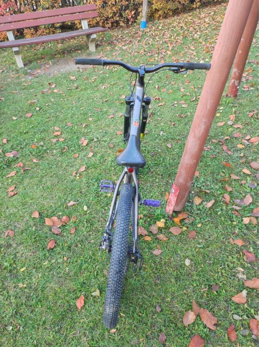 Rower Kellys whip 10 raw