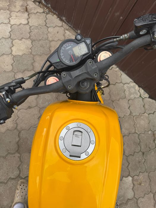 Geon Scrambler 250 2018