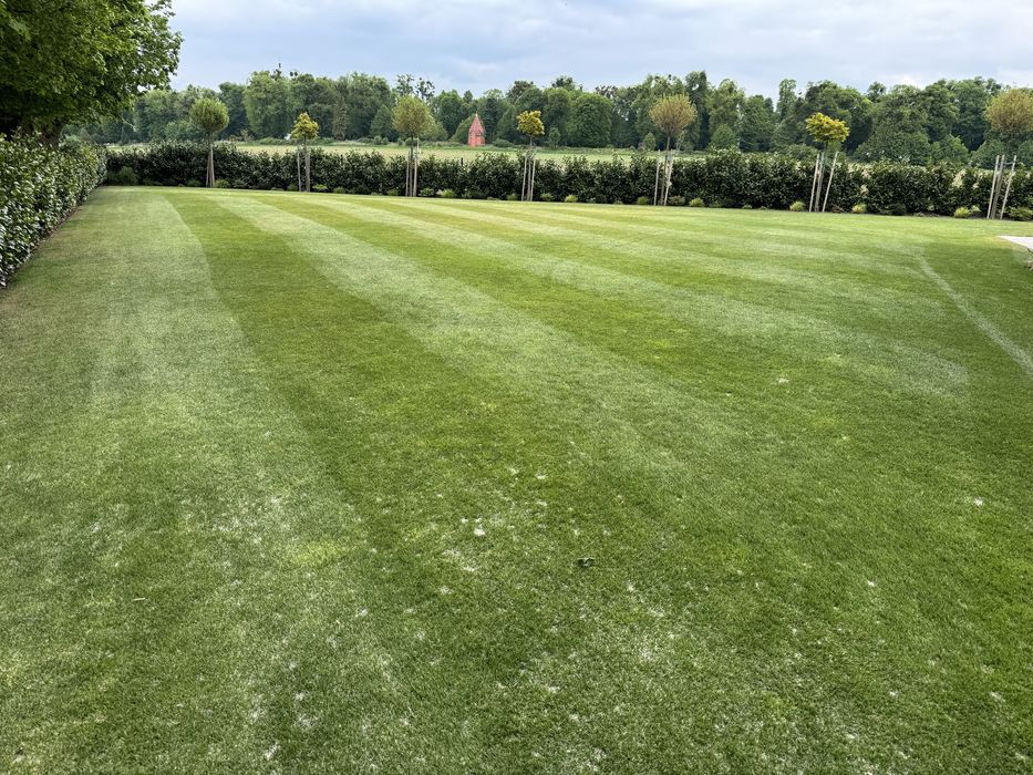 Aerator spalinowy Billy goat Weibang Camon_aeracja trawnika piaskowanie