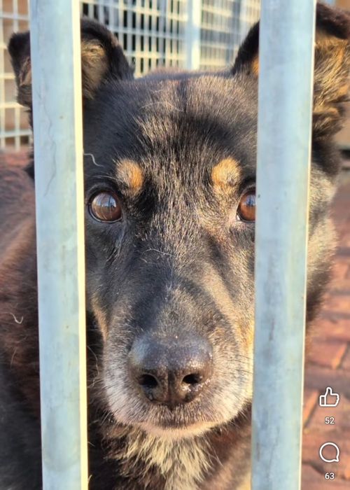 Derbi blaga o dom, ma czas do końca roku