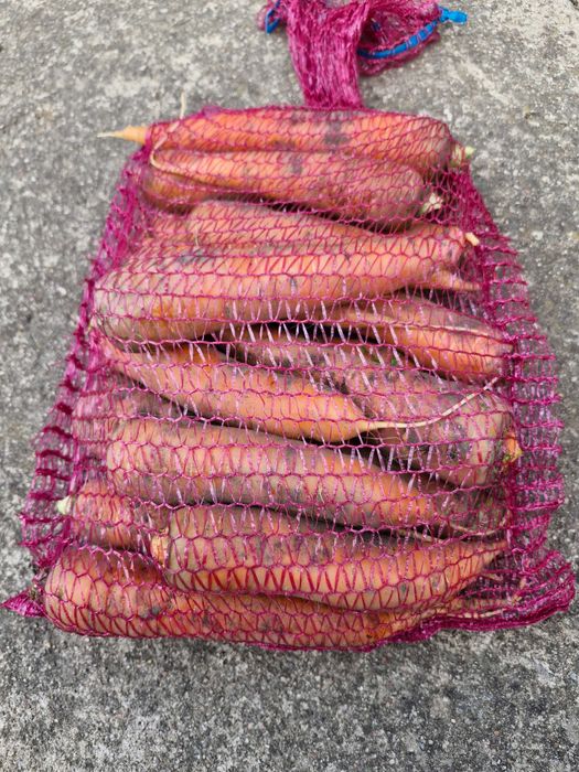 ziemniaki, kapusta do kiszenia